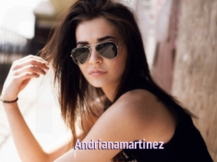Andrianamartinez