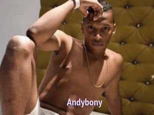 Andybony