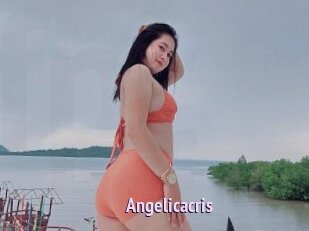 Angelicacris