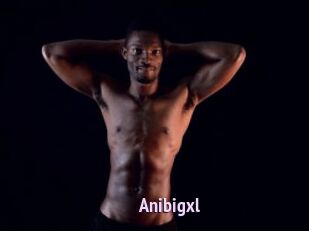 Anibigxl