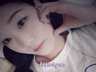 Anjamignon