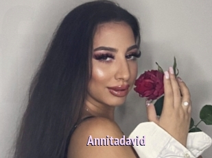 Annitadavid