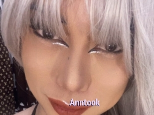 Anntook