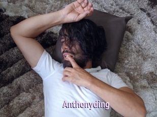 anthonyding Film Porno