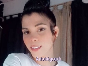 Antobigcock