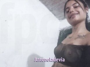 Antoneladevia