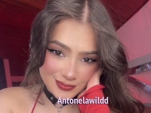 Antonelawildd