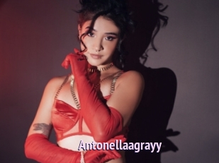 Antonellaagrayy