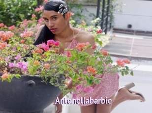 Antonellabarbie