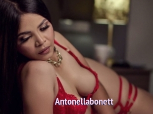 Antonellabonett