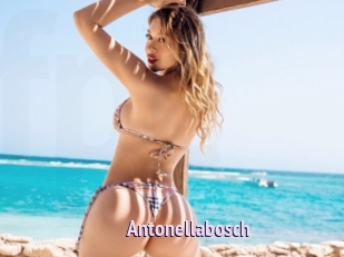 Antonellabosch