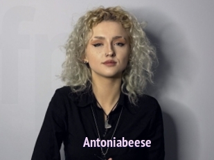 Antoniabeese