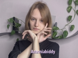 Antoniabiddy