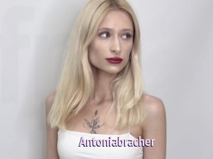 Antoniabracher