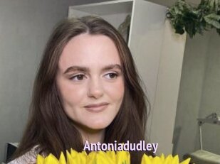 Antoniadudley