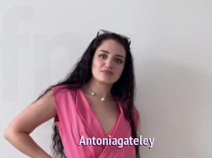 Antoniagateley