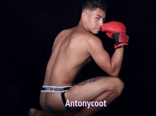 Antonycoot