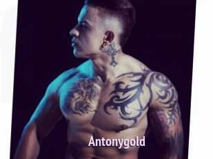 Antonygold