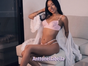 Anttonellabella