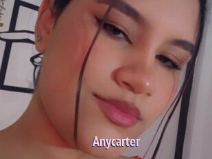Anycarter