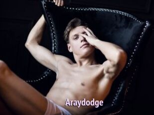 Araydodge