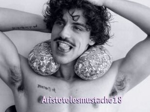 Aristotelesmustache18