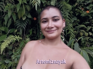 Artemiznayak