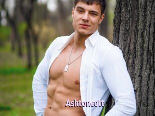 Ashtoncolt