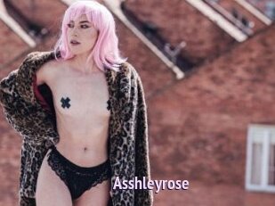 Asshleyrose