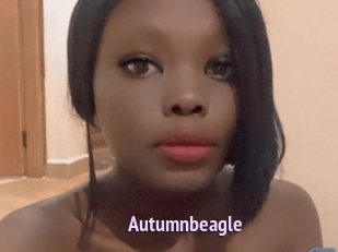 Autumnbeagle