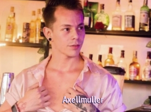 Axellmuller