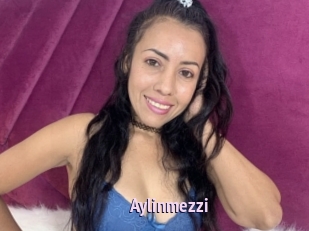 Aylinmezzi