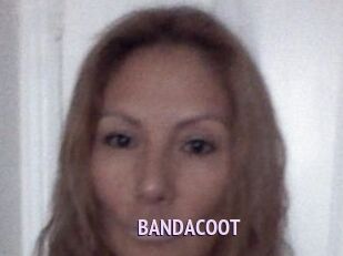BANDACOOT