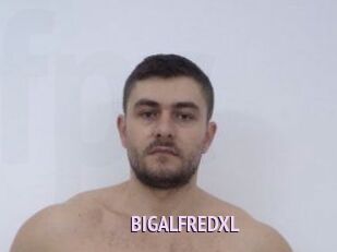 BIGALFREDXL