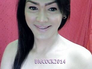 BIGCOCK2014 Film Porno