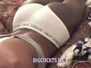 BIGCOCKTS_HOT
