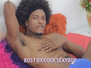 BOST_BIGCOCK_SEXYBOY
