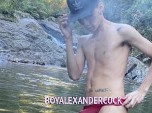 BOYALEXANDERCOCK