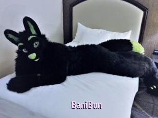 BaniBun