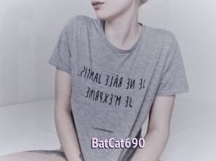 BatCat690