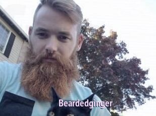 Beardedginger