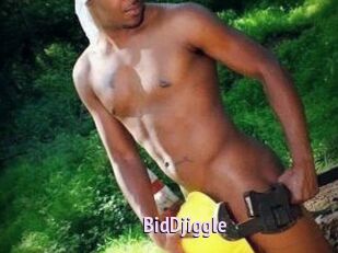BidDjiggle
