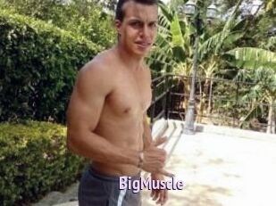Big_Muscle