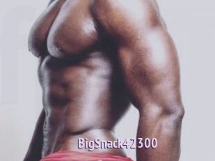 BigSnack42300