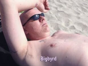 Bigbyrd