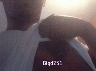 Bigd231