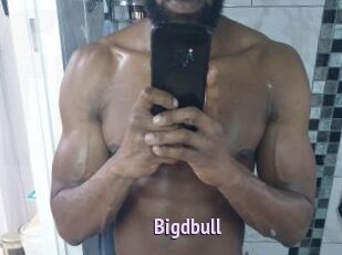 Bigdbull