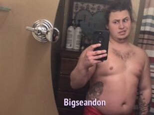 Bigseandon