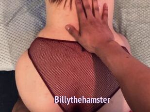 Billythehamster
