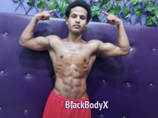 BlackBodyX